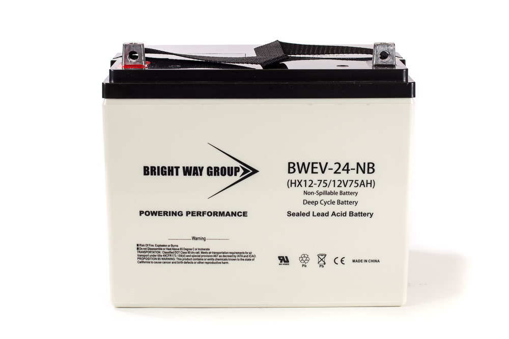 Bright Way BW EV-24 HD SLA (AGM) Battery - Image 2