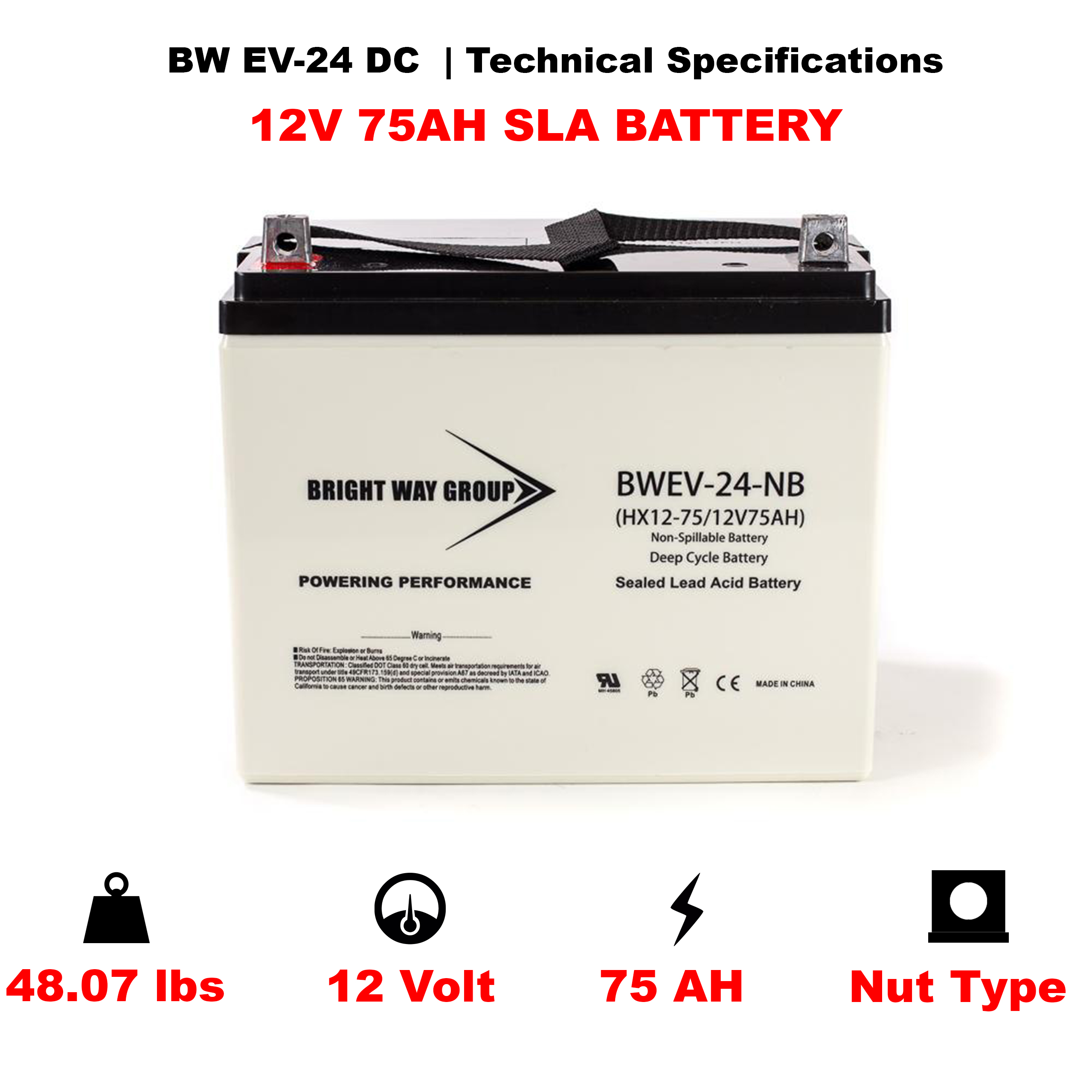 Bright Way BW EV-24 HD SLA (AGM) Battery - Image 4