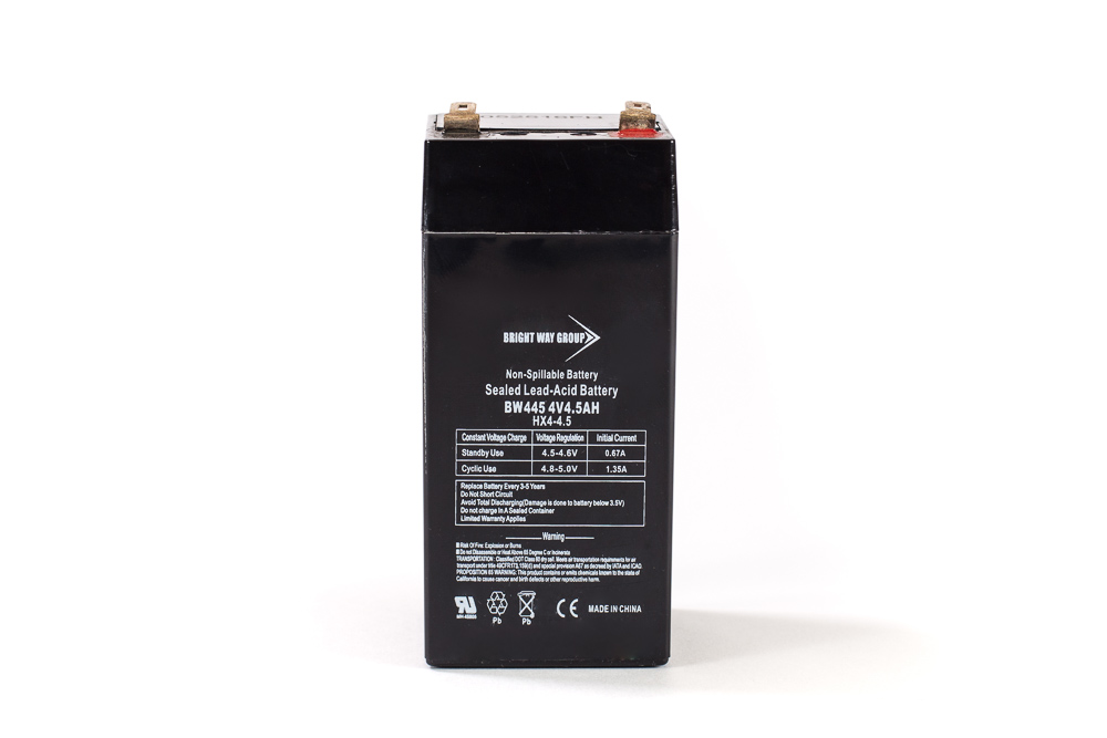 Bright Way BW 445 SLA (AGM) Battery - Image 2