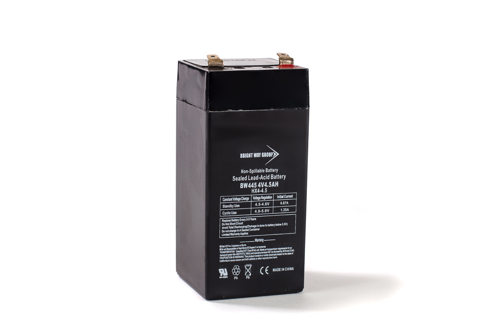 Bright Way BW 445 SLA (AGM) Battery