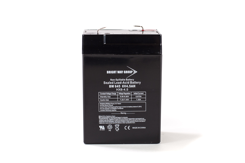 Bright Way BW 645 SLA (AGM) Battery - Image 2