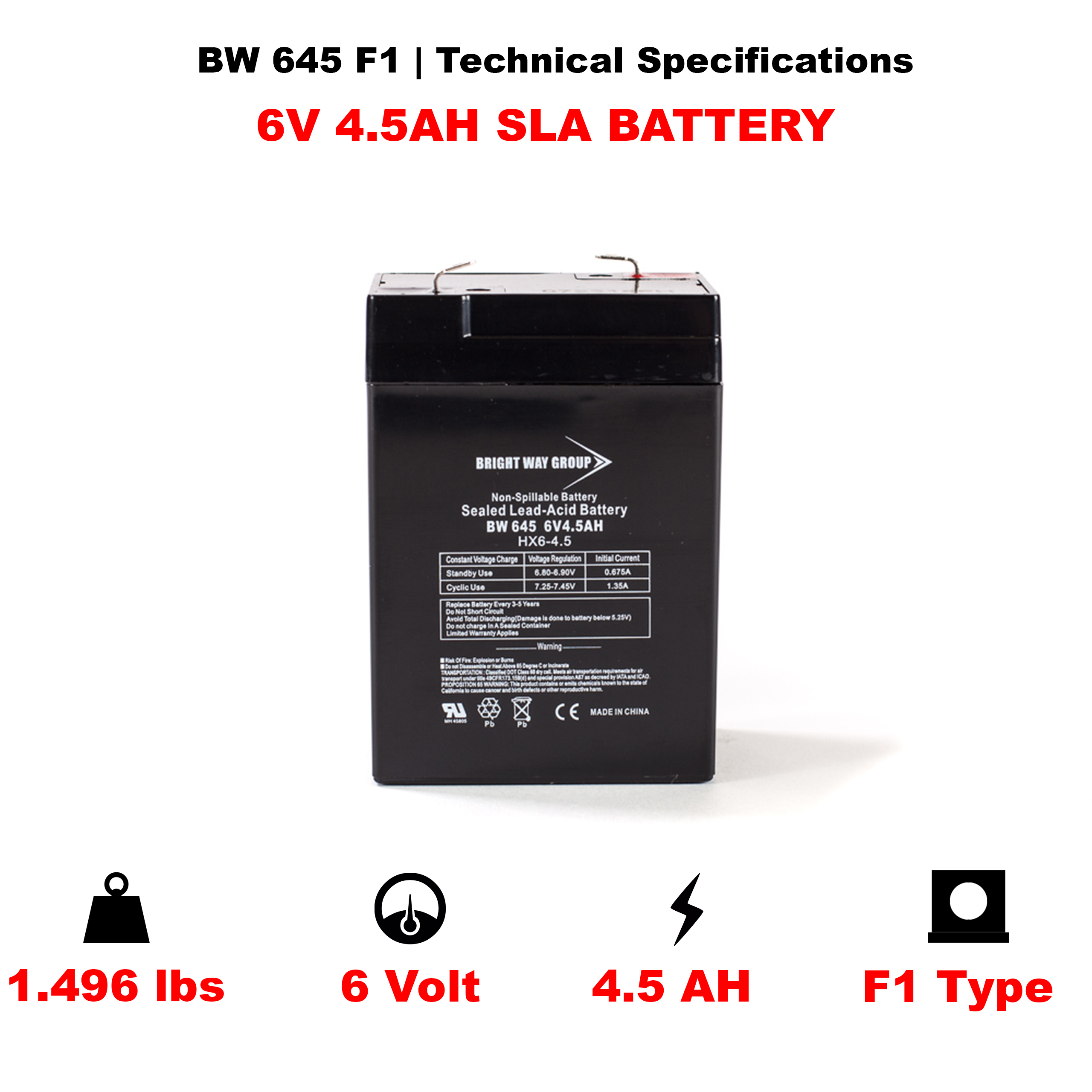 Bright Way BW 645 SLA (AGM) Battery - Image 4