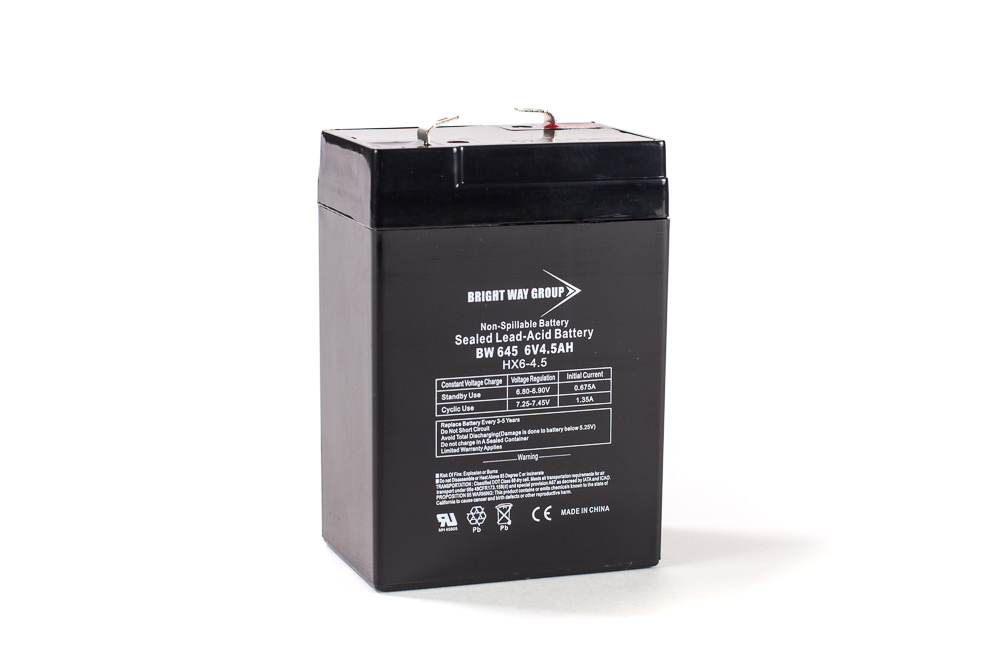 Bright Way BW 645 SLA (AGM) Battery