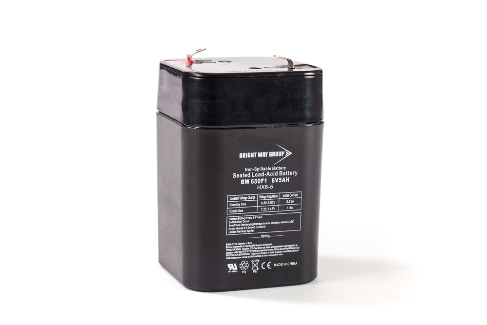 Bright Way BW 650FL SLA (AGM) Battery