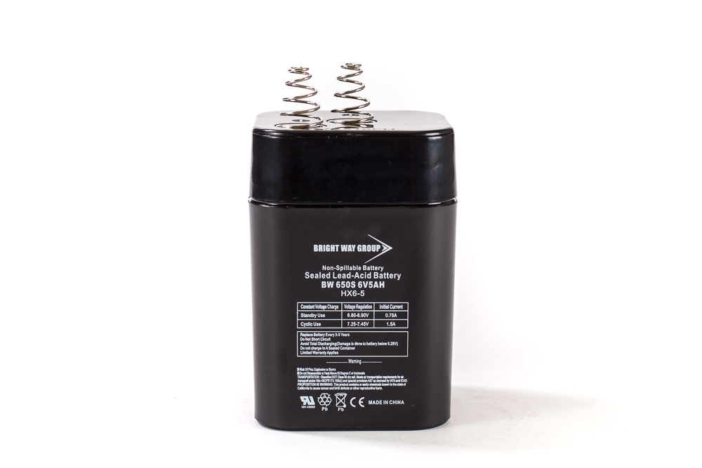 Bright Way BW 650SL SLA (AGM) Battery - Image 2