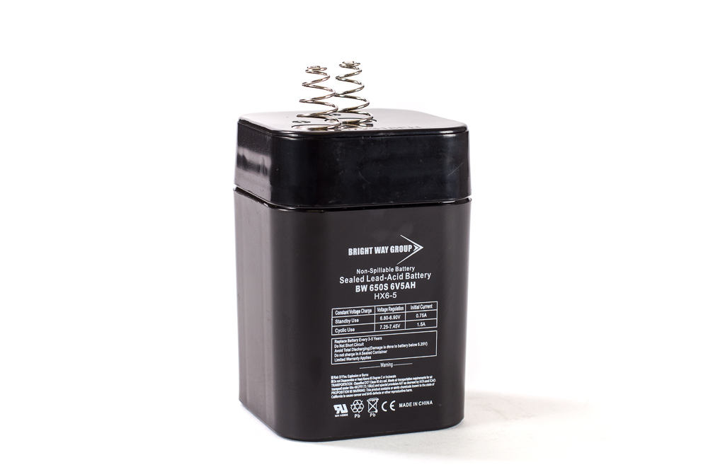 Bright Way BW 650SL SLA (AGM) Battery
