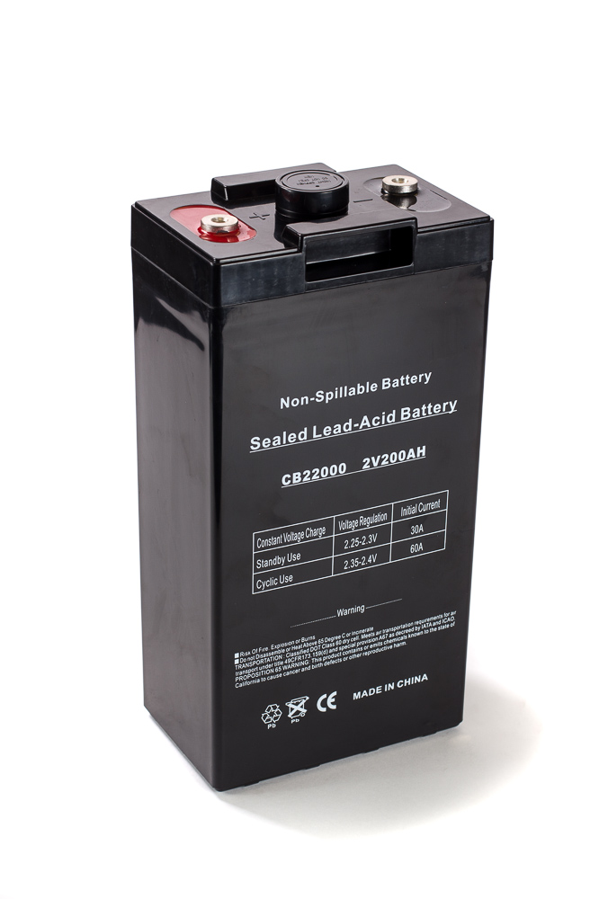 Bright Way BWG 22000 SLA (AGM) Battery